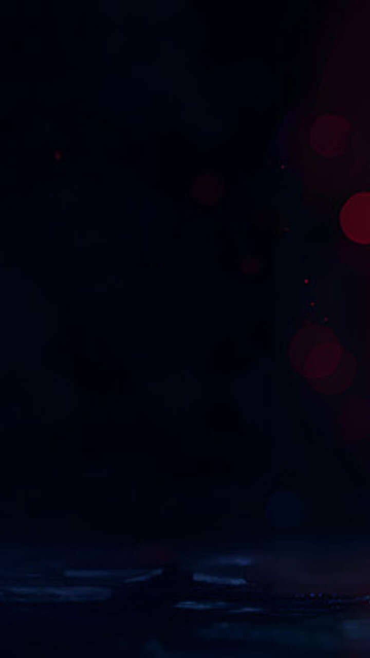 CVE-2026-25658